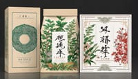 乾癬關節炎患者必讀:中醫提供的實用解決方案