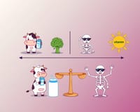 不喝牛奶會影響骨骼健康嗎？科學解析與替代方案