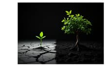 小孩長不高怎麼辦？中醫體質調理與營養補充重點整理