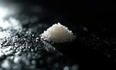 白米品牌安全性與污染數據：健康風險研究觀點整理