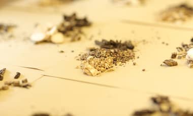 中醫療法：對抗頑固手指濕疹的新趨勢