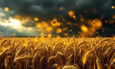 預切麵包微生物污染風險分析：2025最新數據與食品安全研究觀點