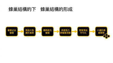 蜂巢結構為何呈六邊形？從自然觀察到物理原理解讀（適合理工科新手）