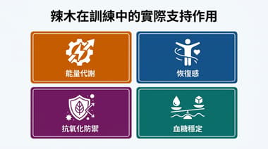 30天親身體驗：健身新手如何透過古老植物提升自重訓練表現