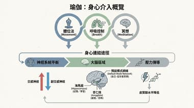 剛開始練瑜珈時，大腦結構改變的研究觀點與新手常見感受