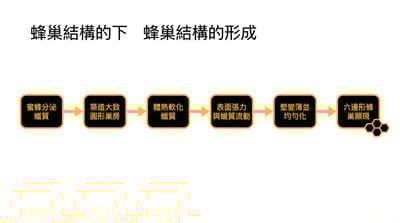 蜂巢結構為何呈六邊形？從自然觀察到物理原理解讀（適合理工科新手）