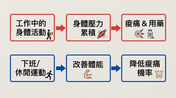 為什麼上班時的活動量與休閒運動感受不同？背後原因解析