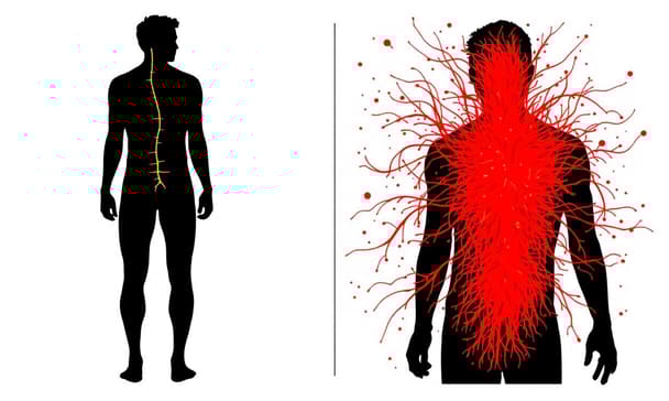 坐骨神經痛與帶狀皰疹後神經痛：中醫觀點的理解要點