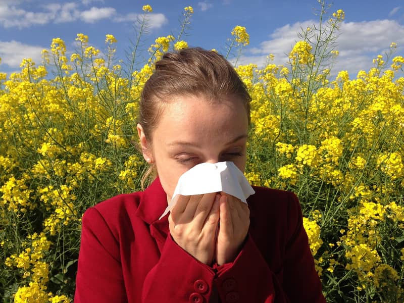 eliminate-dust-mites-allergy-relief