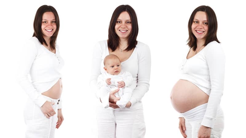pregnancy-nutrition-timing-optimal pregnancy-nutrition-timing-optimal