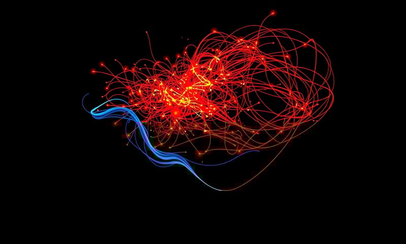 練習前後，心智狀態的對比