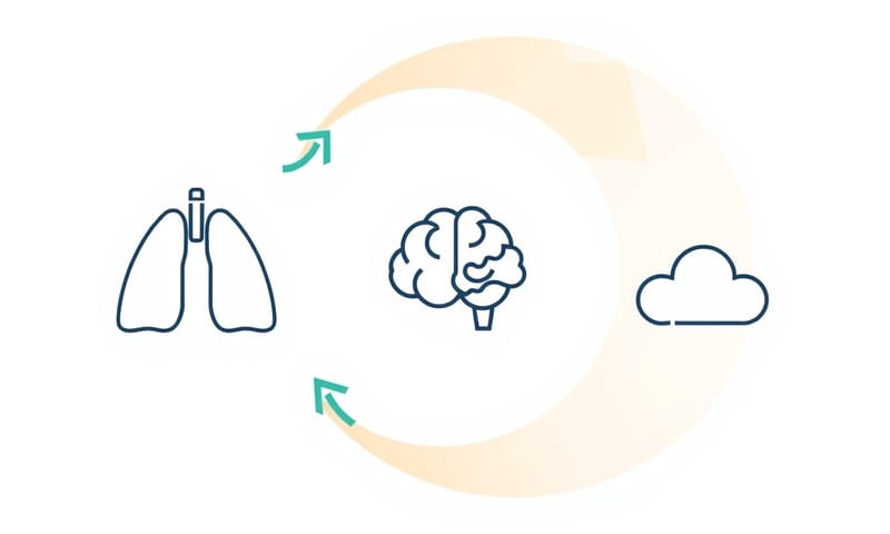 呼吸、大腦、焦慮，就是這樣一個互相影響的惡性循環。