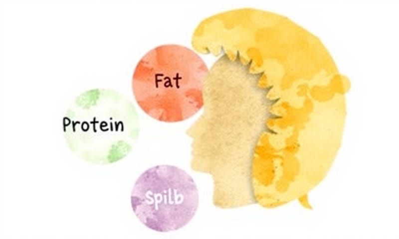 食物的價值，不只看成分，更要看它在體內的旅程