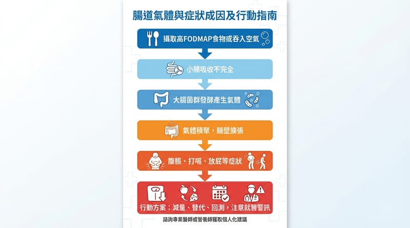 圖1｜全局總覽：脹氣到底怎麼「一路走到這裡」