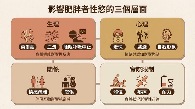 圖片 2 中段核心拆解：生理 vs 心理 vs 關係，三層一起看才不會看錯方向