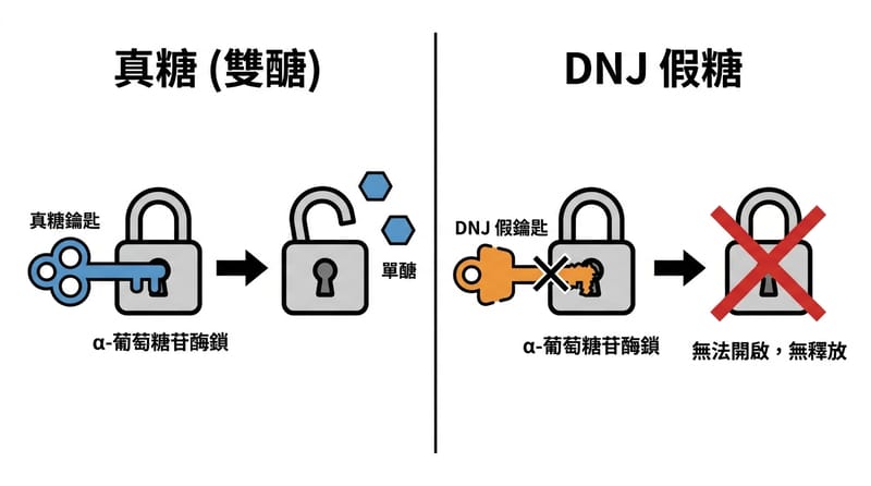 圖片2：核心拆解示意圖，把「真鑰匙 vs 假鑰匙」畫成兩格