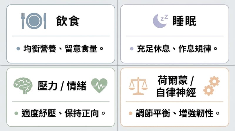概念總覽圖卡：食物、睡眠、情緒壓力、荷爾蒙四條線怎麼一起拉扯身體