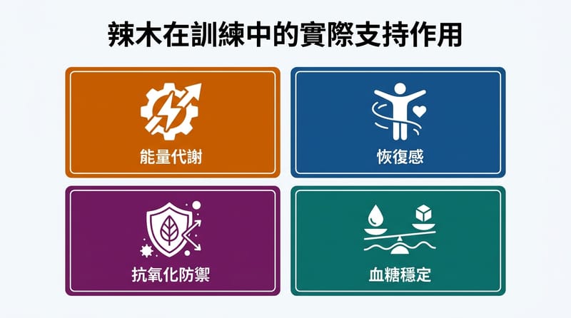 概念總覽圖：辣木粉在訓練情境裡的定位