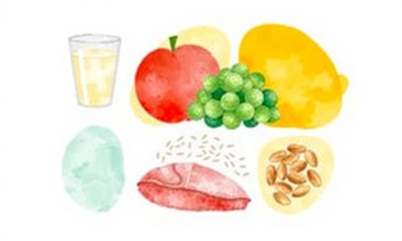 台灣衛福部「我的餐盤」概念的視覺化